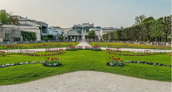 Bild_20.08.25_um_11.17.jpeg